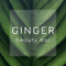 Салон красоты: Ginger Beauty Bar